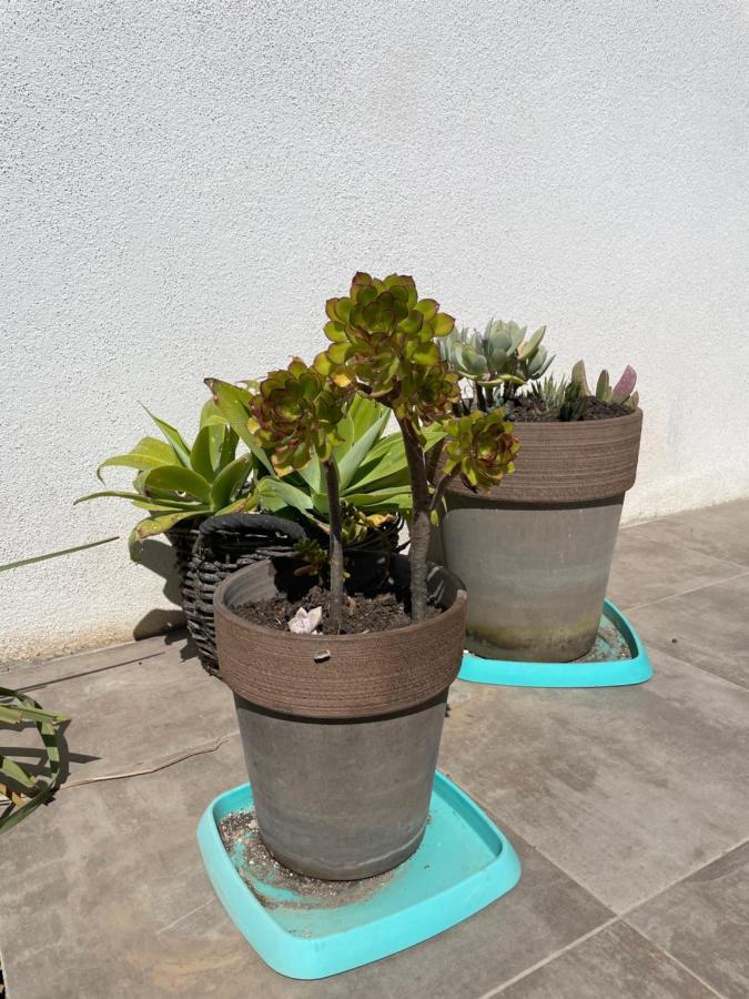 Mini Villa K2 Bonifacio  Eksteriør bilde